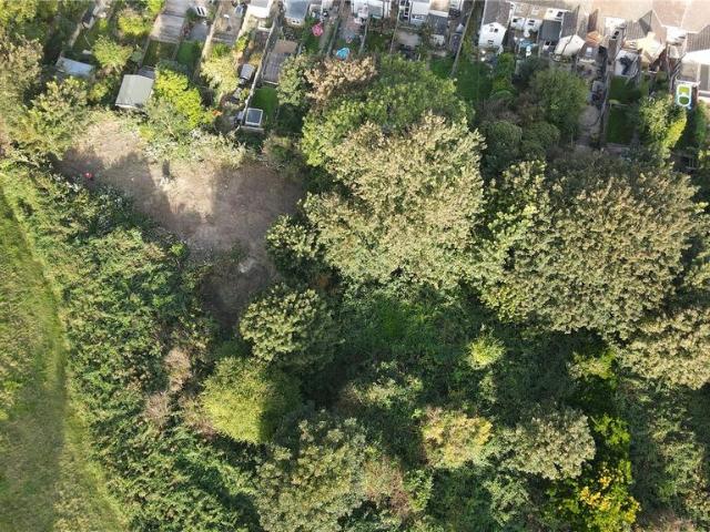 Land for sale in Clarendon, Ash