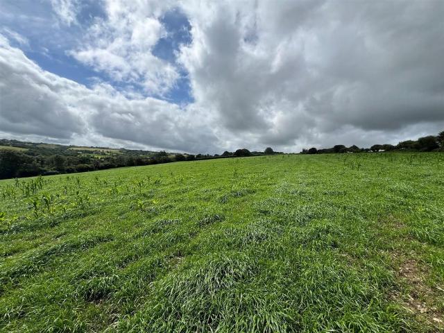 Land for sale in Llanfyrnach, Wales
