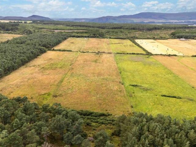 Land for sale in Embo, Scotland