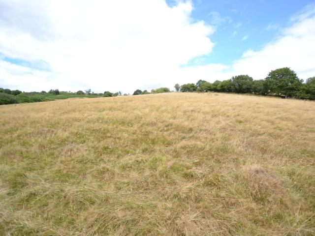 Land for sale in Talley, Wales