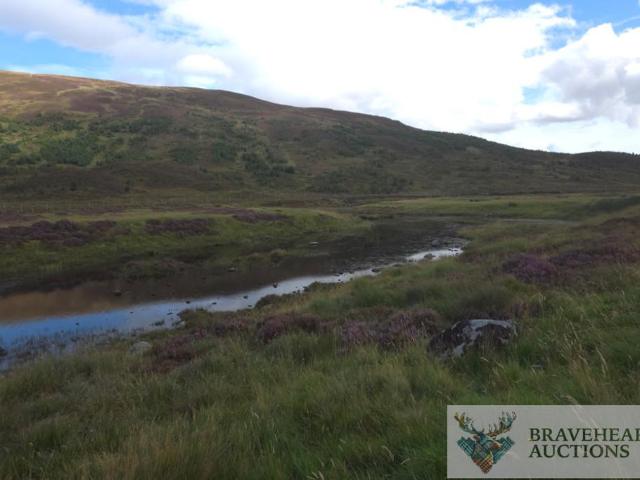 Land for sale in Scotland