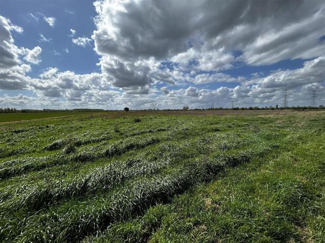 Land for sale in Barway, Cambridgeshire
