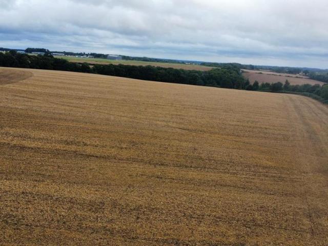 Land for sale in Great Marlow, Lane End
