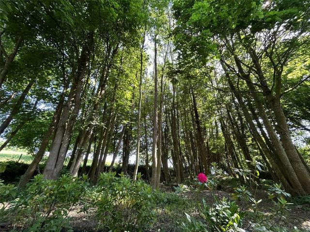 Land for sale in Combe St Nicholas, Somerset