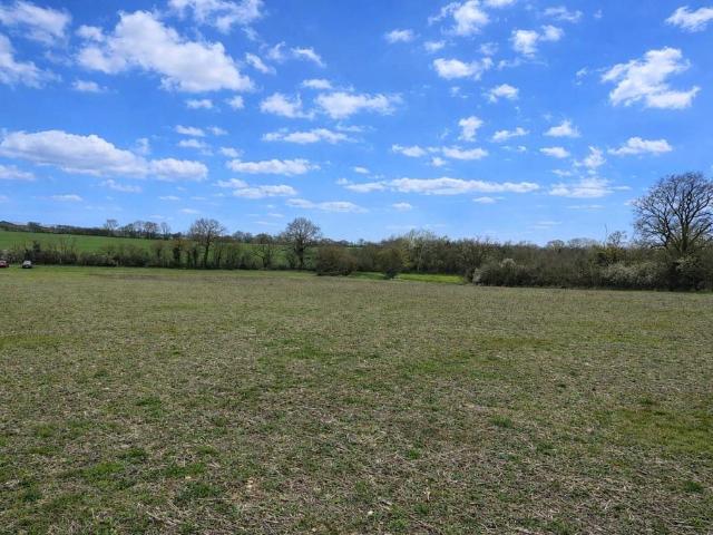 Land for sale in Chelmondiston, Suffolk