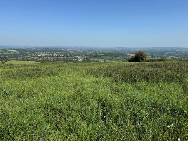 Land for sale in Okeford Fitzpaine, East Dorset