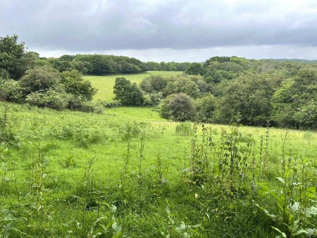 Land for sale in Heathlands, East Sussex