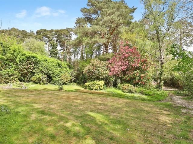 Land for sale in St Leonards, East Dorset