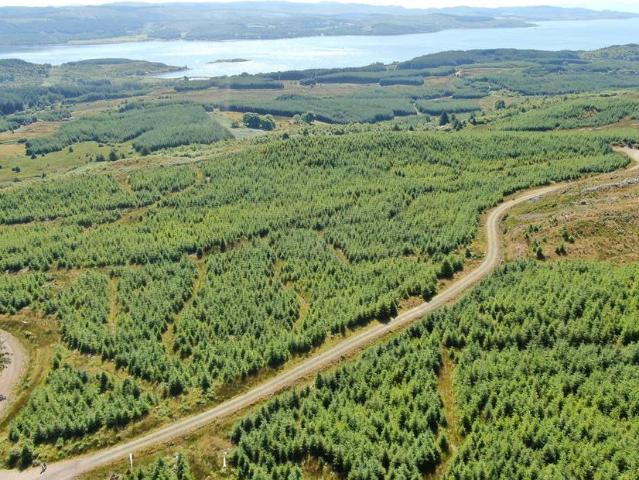 Land for sale in Scotland