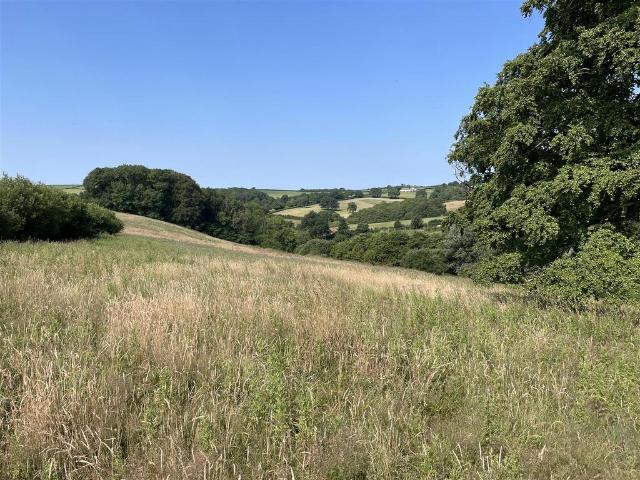 Land for sale in Newton St Cyres, Devon