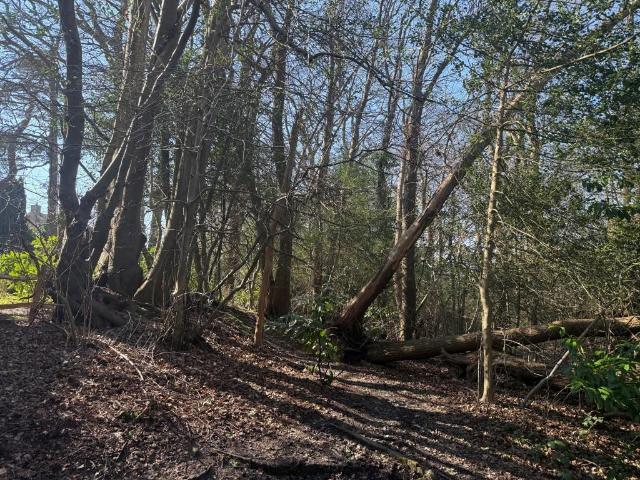 Land for sale in Cross In Hand, East Sussex