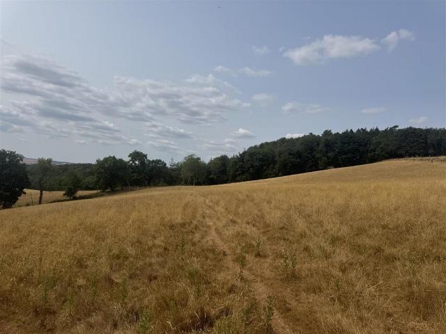 Land for sale in Dunchideock, Teignbridge