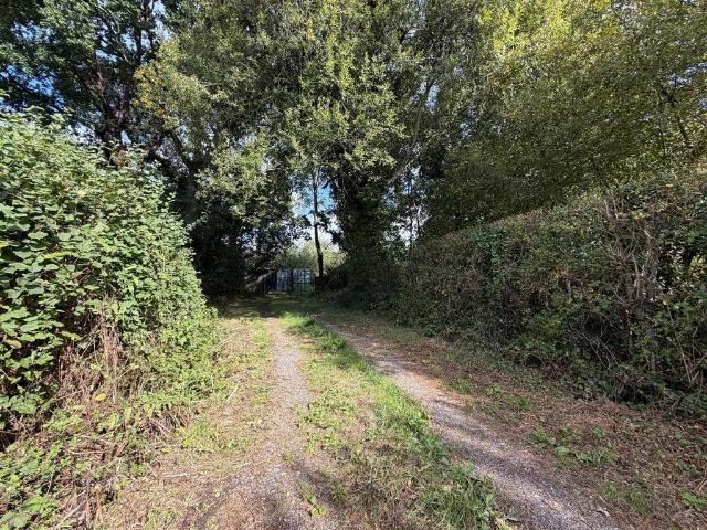 Land for sale in East Dorset