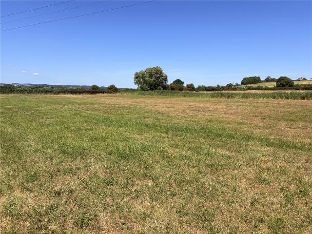 Land for sale in North Curry, Somerset