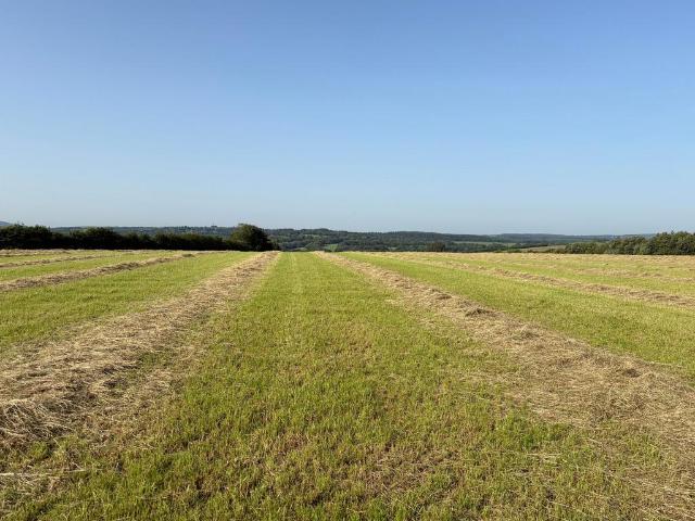 Land for sale in Inwardleigh, Weir Quay