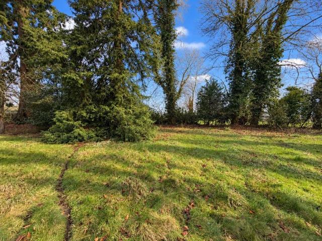 Land for sale in Diss, South Norfolk
