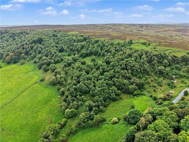 Land for sale in Bewerley, North Yorkshire