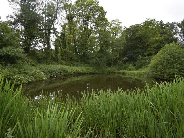 Land for sale in Buxworth, Charlesworth