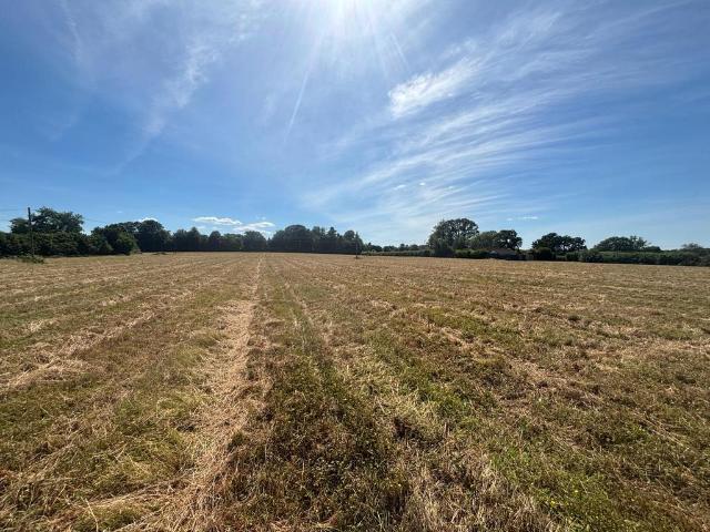 Land for sale in Sandown Park, Kent