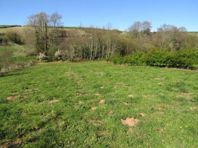 Land for sale in Strode, Devon