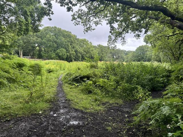 Land for sale in West End, Heol-las