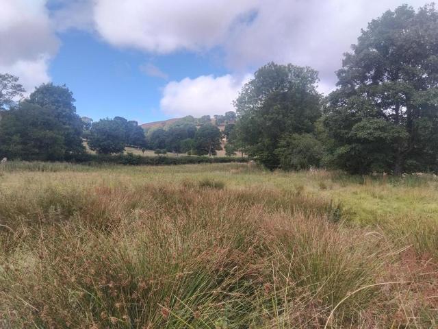 Land for sale in Llanarmon-yn-ial, Wales