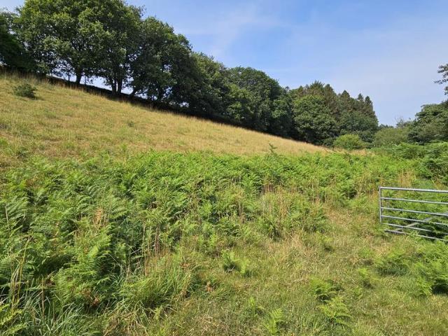 Land for sale in Cornwall