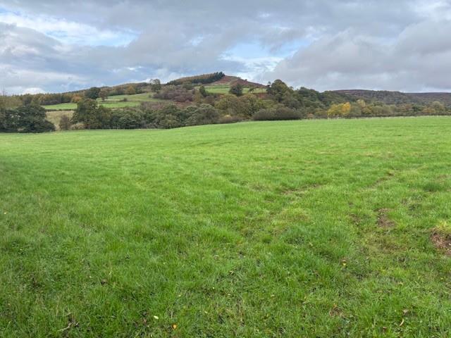 Land for sale in Bilsdale Midcable, North Yorkshire