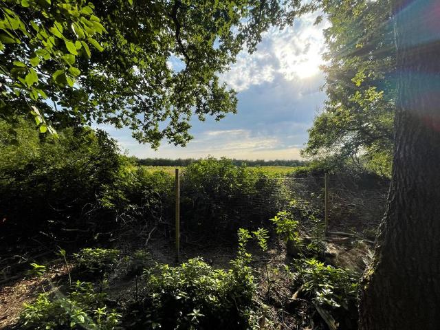 Land for sale in Horsham, Isle Of Man