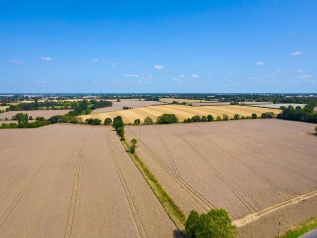 Land for sale in Bedingfield, Suffolk