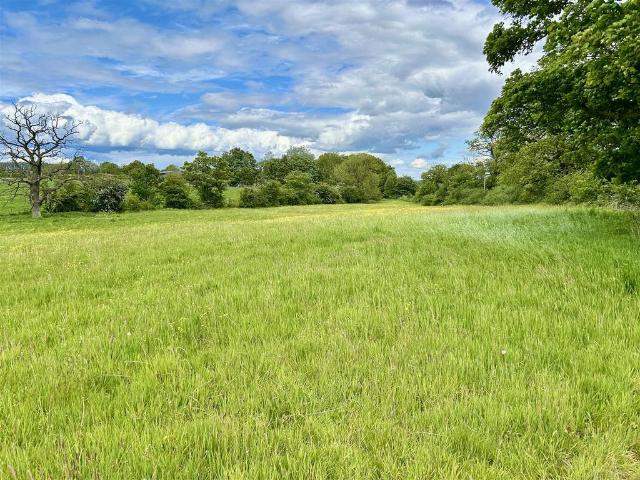 Land for sale