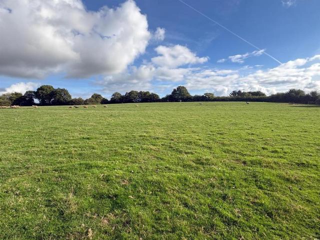 Land for sale in Yeo Farm, West Devon