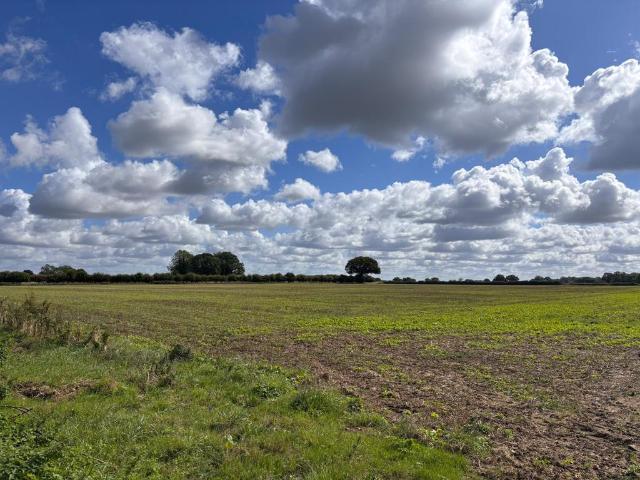 Land for sale in East Tuddenham, Norfolk