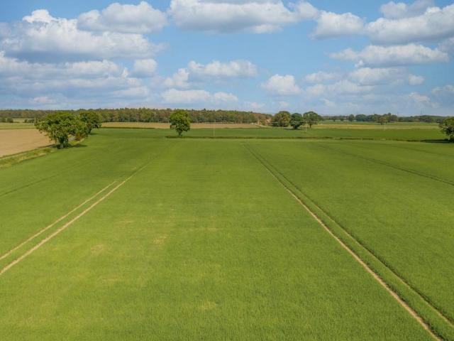Land for sale in York