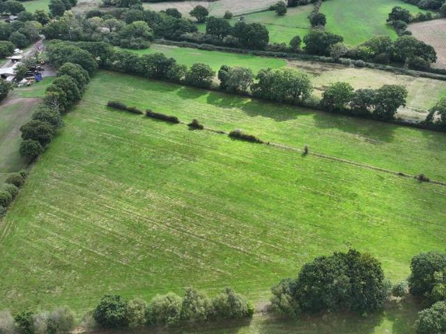 Land for sale in East Dorset