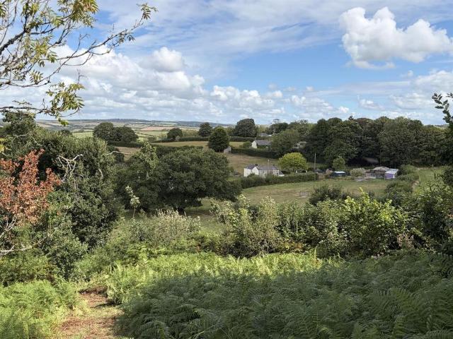 Land for sale in Withielgoose, Withiel