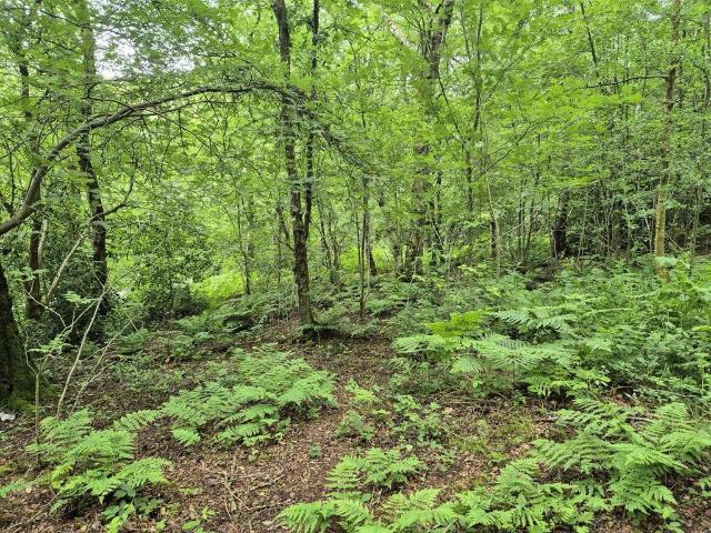 Land for sale in Kingsley Moor, Staffordshire