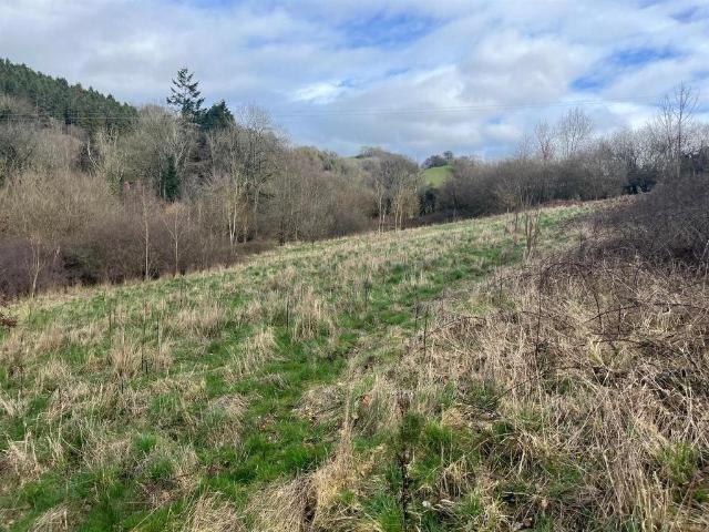 Land for sale in Wales