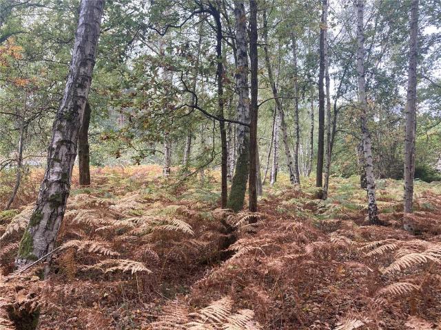 Land for sale in Finchampstead