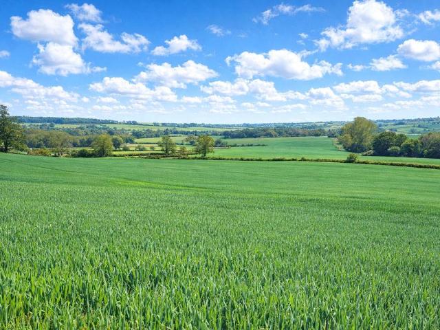 Land for sale in Woodford cum Membris, Northamptonshire
