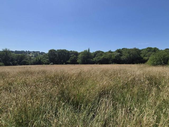 Land for sale in Wales