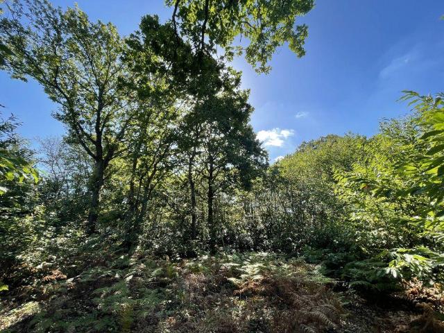 Land for sale in Beckley, Rother