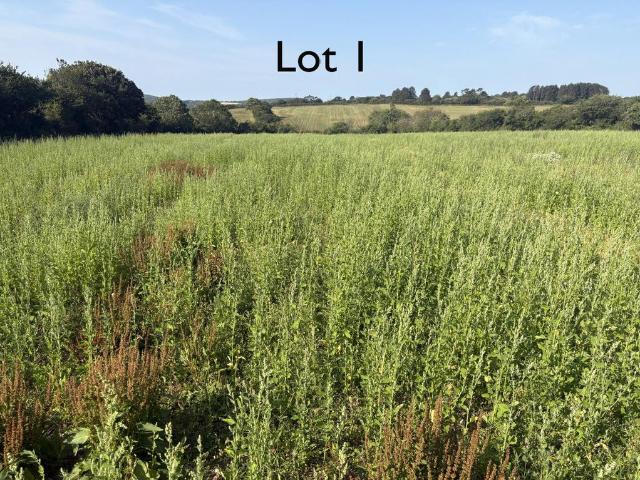Land for sale in Leedstown, Cornwall