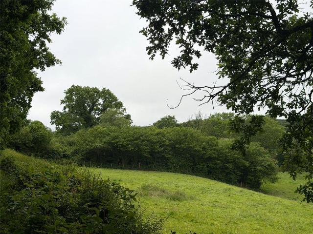 Land for sale in Tideford Cross, Cornwall