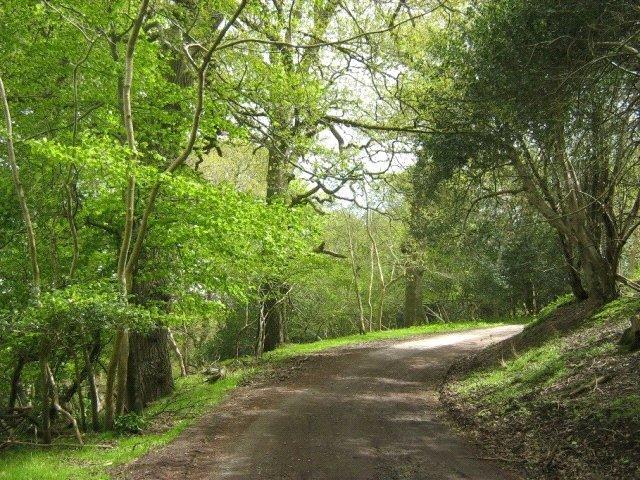 Land for sale in Somerset