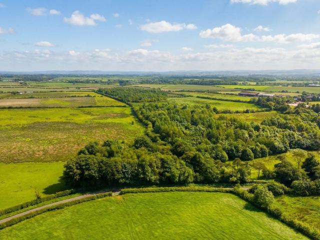 Land for sale in Perceton, Torranyard