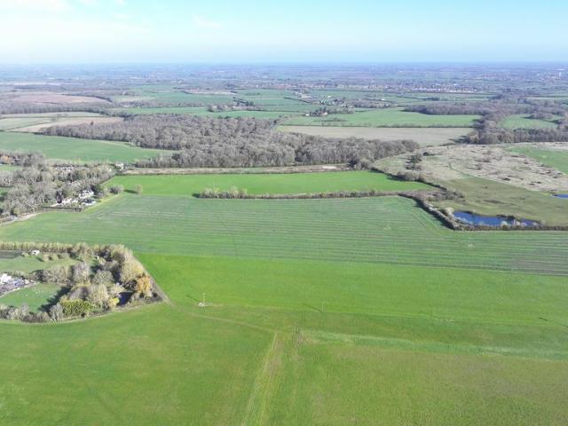 Land for sale in Margaretting, Chelmsford