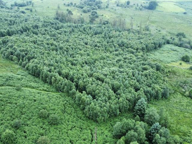 Land for sale in Wales