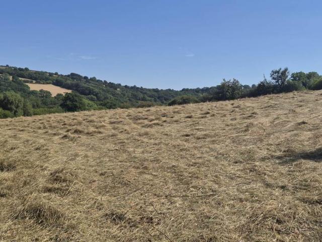 Land for sale in Wales