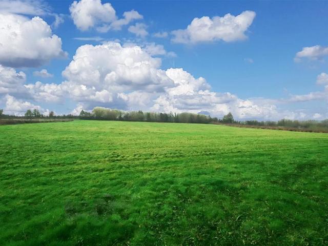 Land for sale in St. Nicholas and Bonvilston, Bonvilston